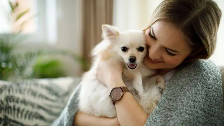 Kodėl Prisirišame Prie Savo Augintinių?