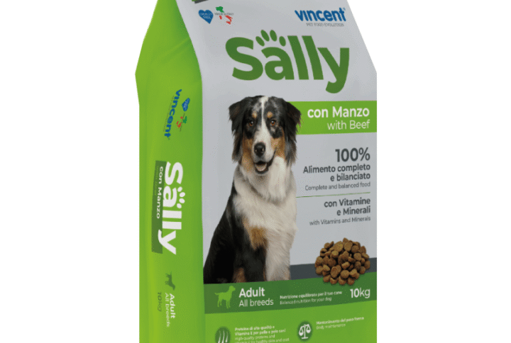 vincent-sally-jautine-maistas-sunims